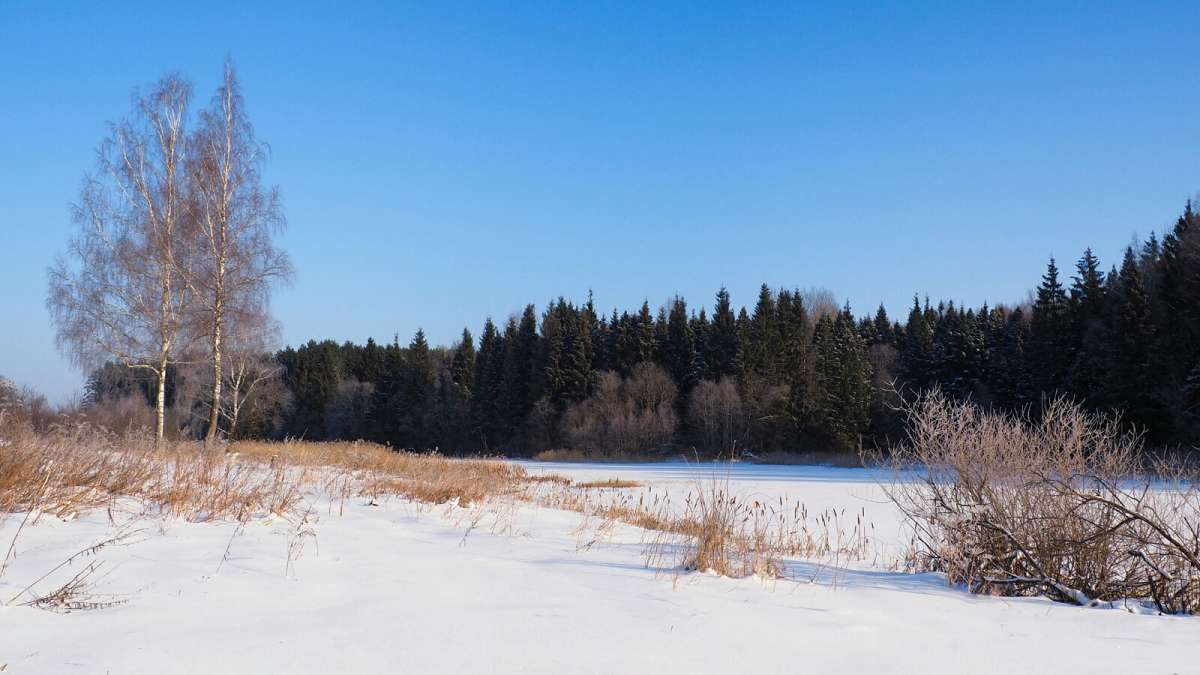 ���������� ����. ����� �������� �������� �� PhotoGeek.ru #������ ��� �������