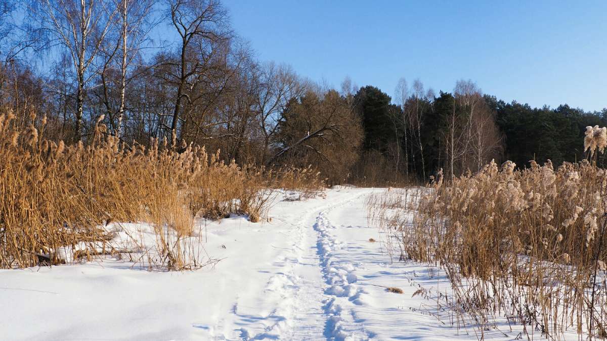 ��� ����������. ����� �������� �������� �� PhotoGeek.ru #������ ��� �������