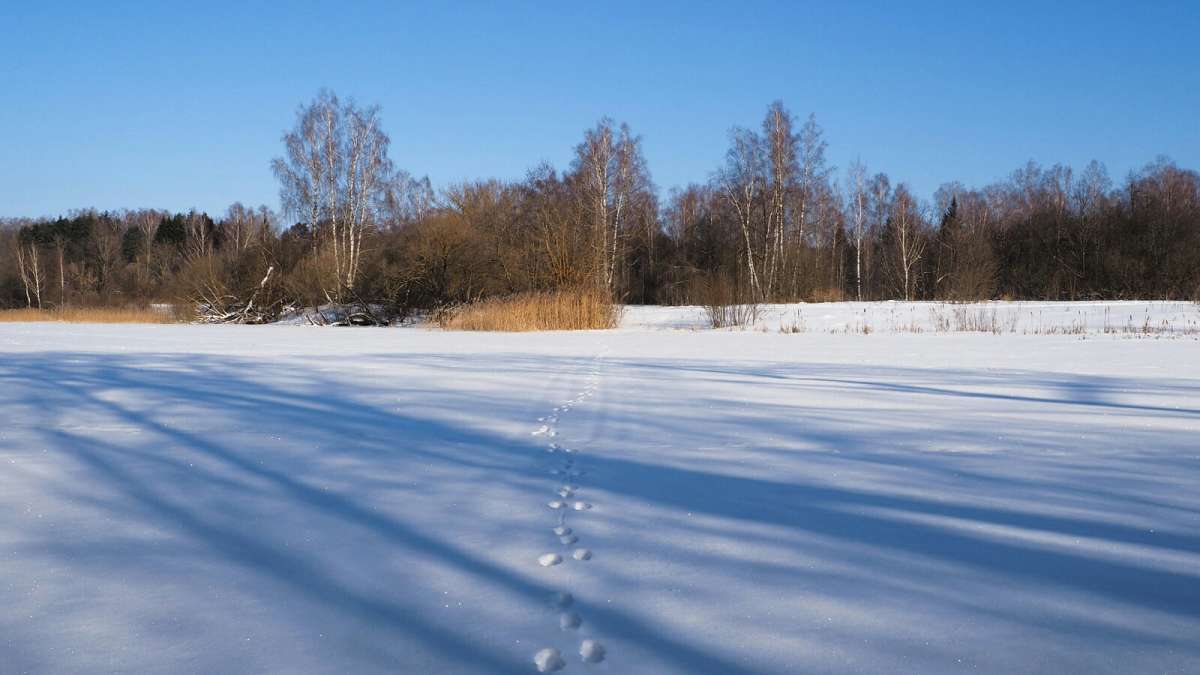 ���� ����� ��������. ����� �������� �������� �� PhotoGeek.ru #������ ��� �������