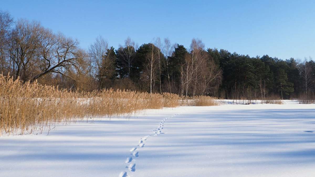 ���� - �������. ����� �������� �������� �� PhotoGeek.ru #������ ��� �������