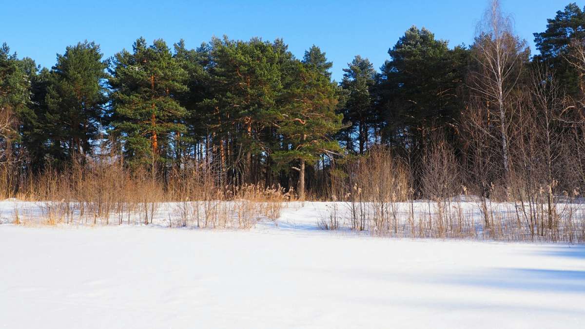 ������� �����. ����� �������� �������� �� PhotoGeek.ru #������ ��� �������