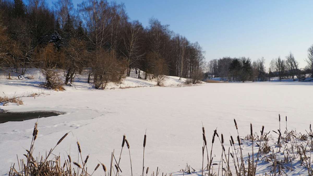 ���� - �������. ����� �������� �������� �� PhotoGeek.ru #������ ��� �������