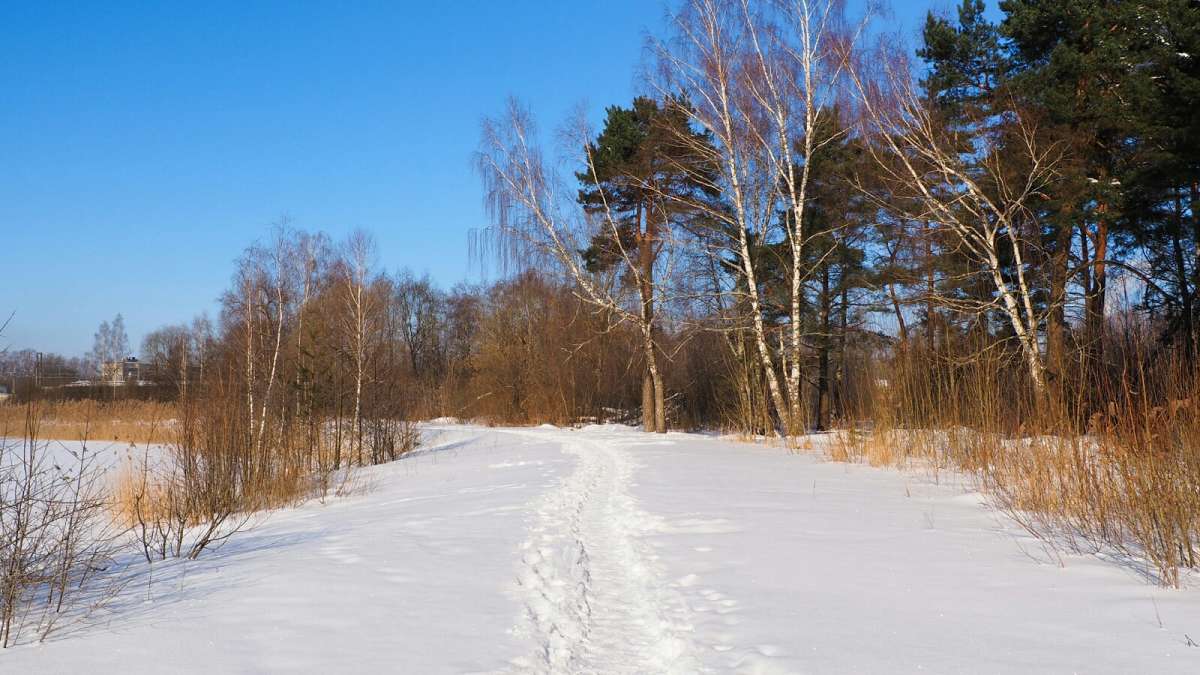 �� ������ ������. ����� �������� �������� �� PhotoGeek.ru #������ ��� �������