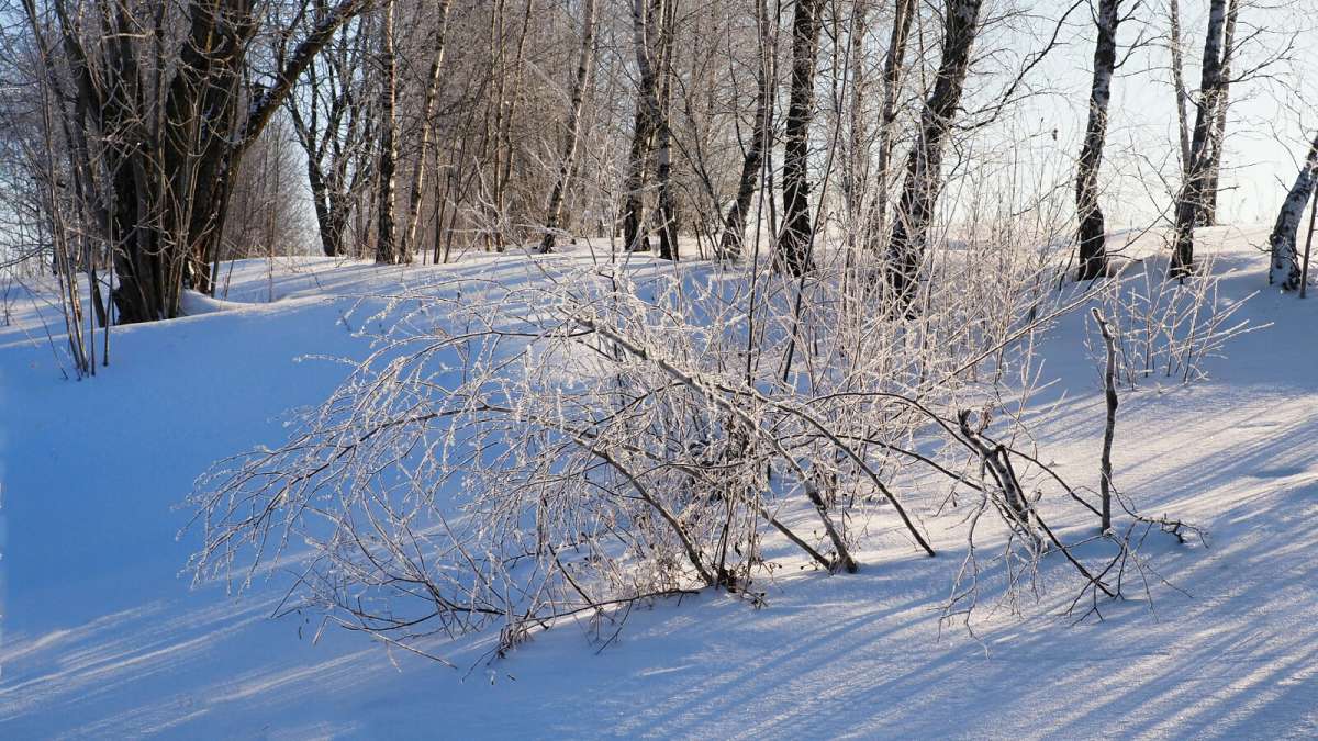 �������� ����������� ����. ����� �������� �������� �� PhotoGeek.ru #������ ��� �������