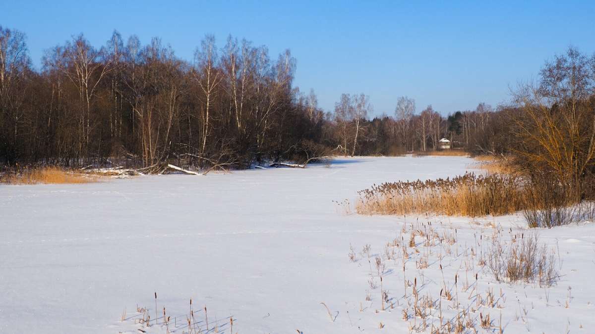 ��� �������. ����� �������� �������� �� PhotoGeek.ru #������ ��� �������