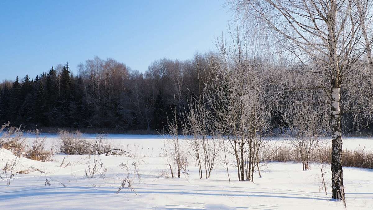 �������� ����������� ����. ����� �������� �������� �� PhotoGeek.ru #������ ��� �������