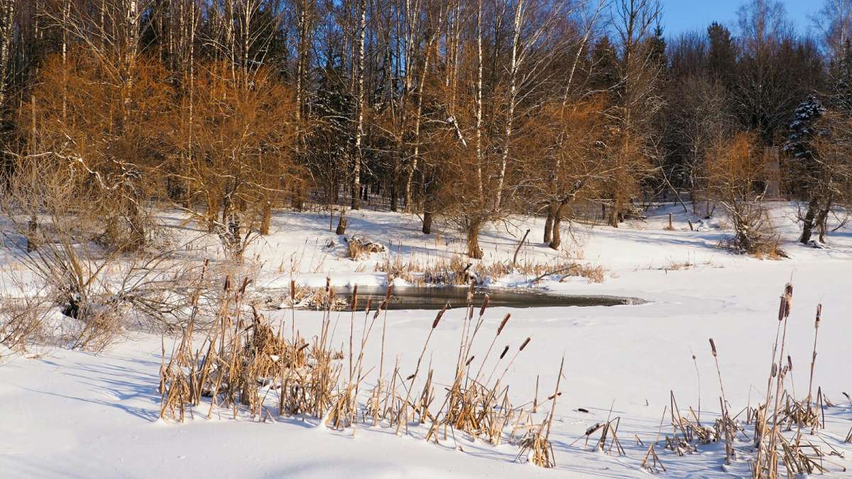 ���������� � �������. ����� �������� �������� �� PhotoGeek.ru #������ ��� �������