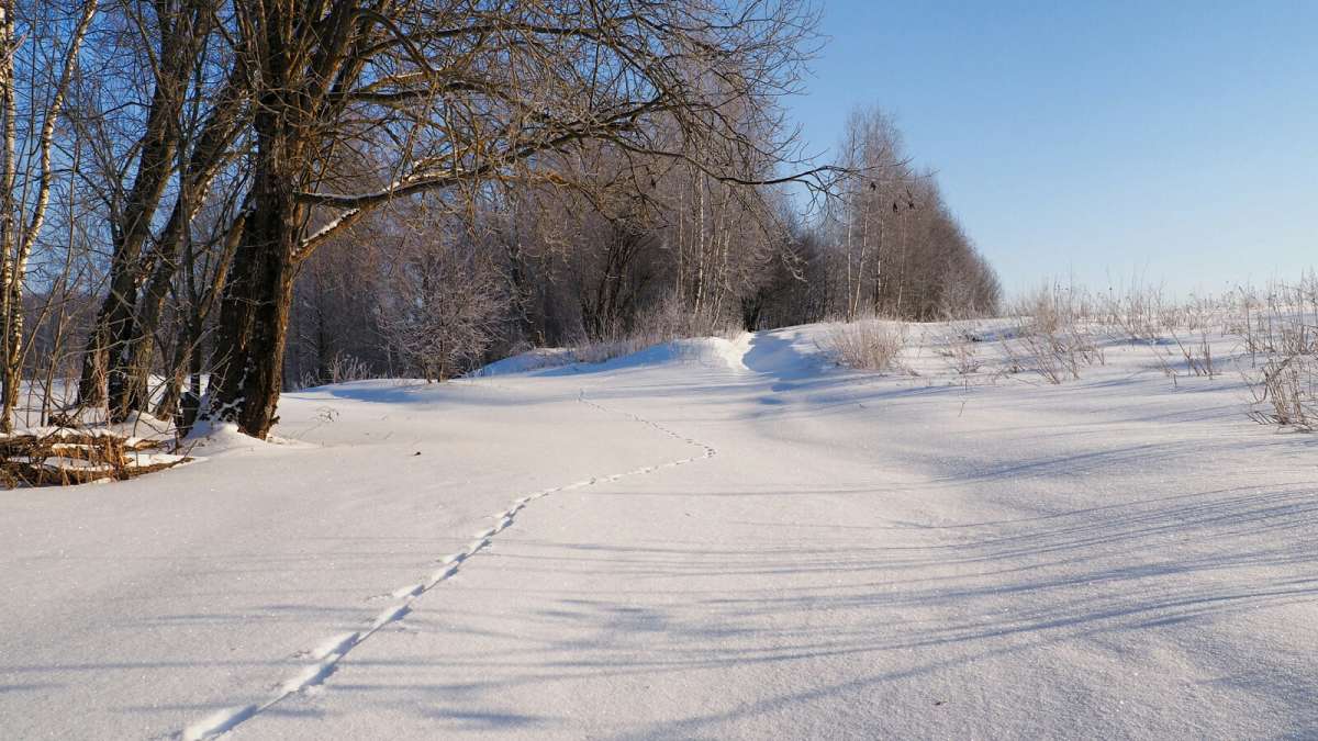 ������� ���������. ����� �������� �������� �� PhotoGeek.ru #������ ��� �������