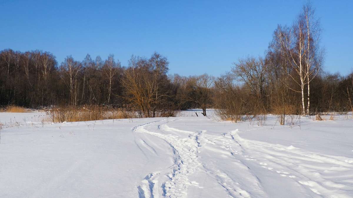 �������. ����� �������� �������� �� PhotoGeek.ru #������ ��� �������