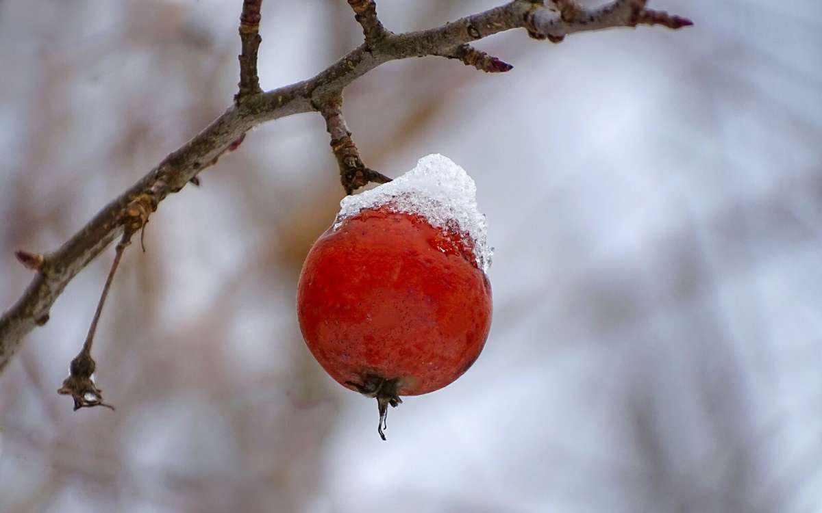 �������� �����! ����� �������� �������� �� PhotoGeek.ru #����� #�����