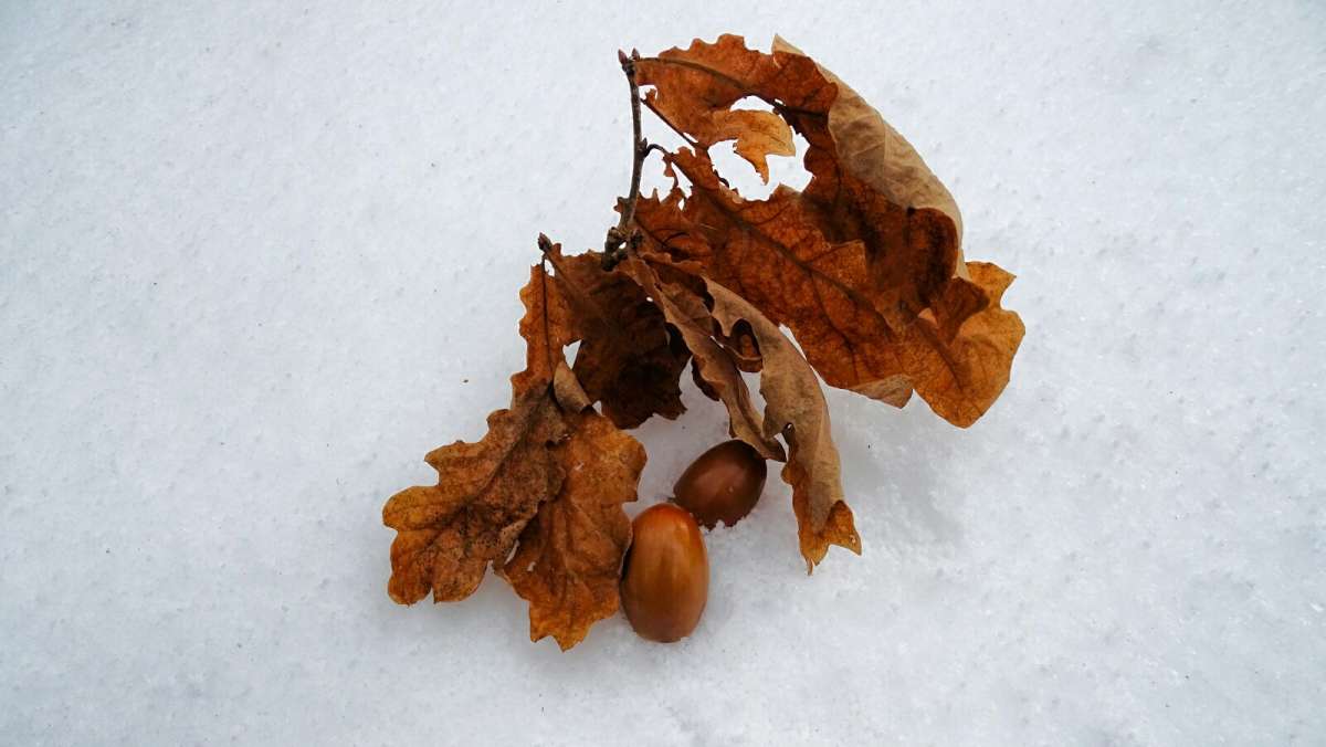 �������� �����. ����� �������� �������� �� PhotoGeek.ru #������ ��� �������