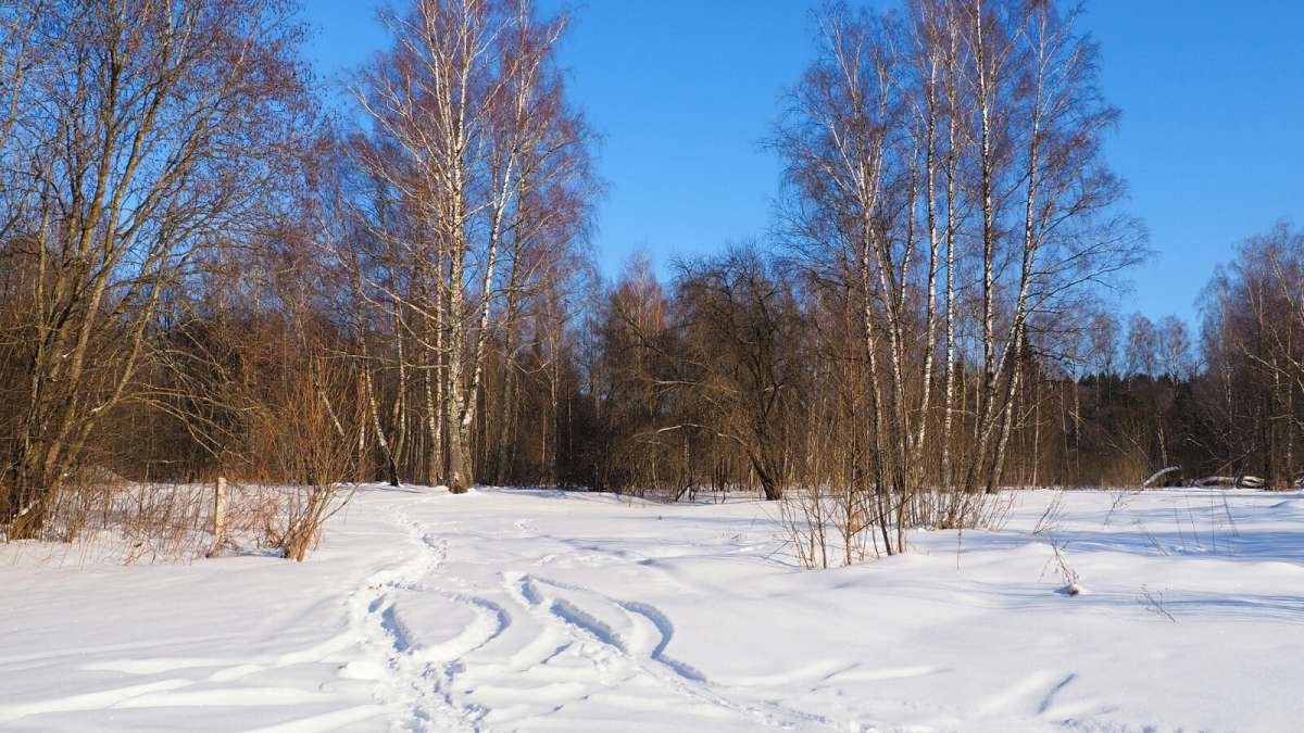 ��� ����������. ����� �������� �������� �� PhotoGeek.ru #������ ��� �������