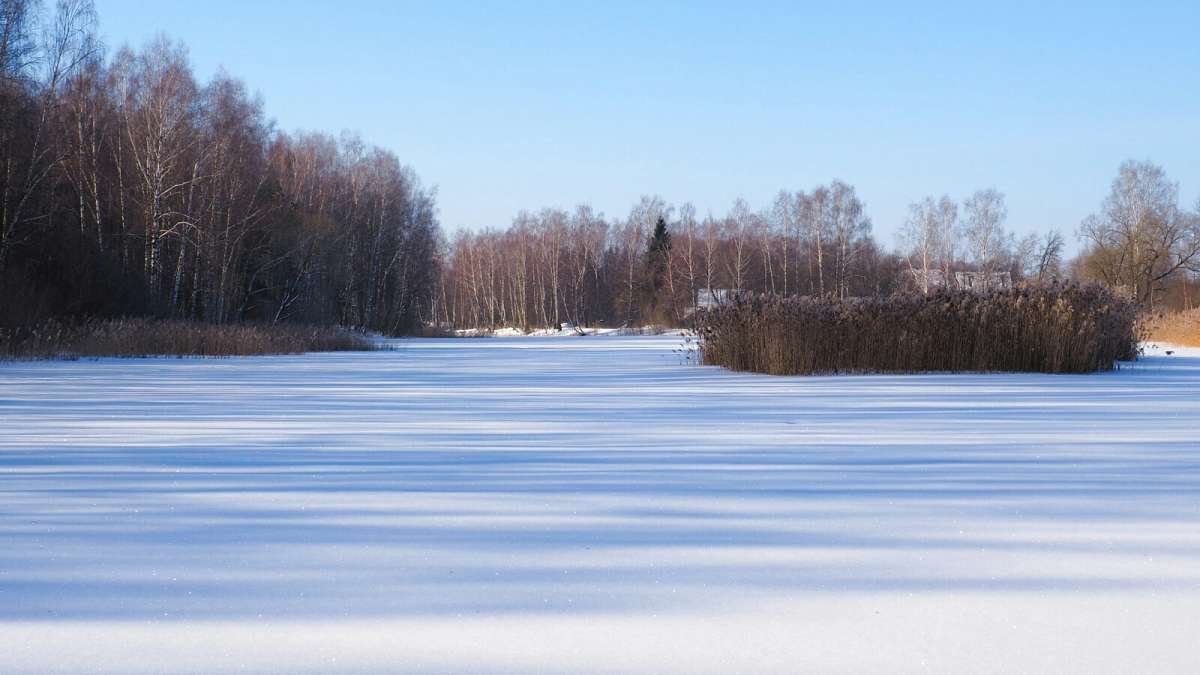 ��������� �������� �� �����. ����� �������� �������� �� PhotoGeek.ru #������ ��� �������