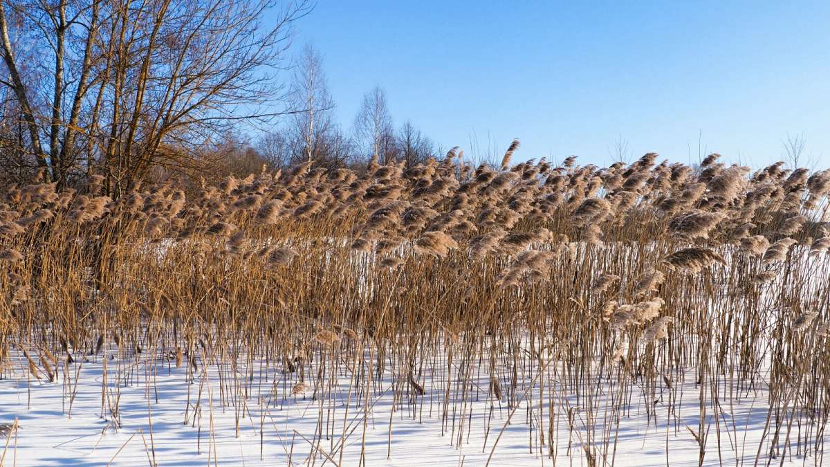 �������� ����. ����� �������� �������� �� PhotoGeek.ru #������ ��� �������