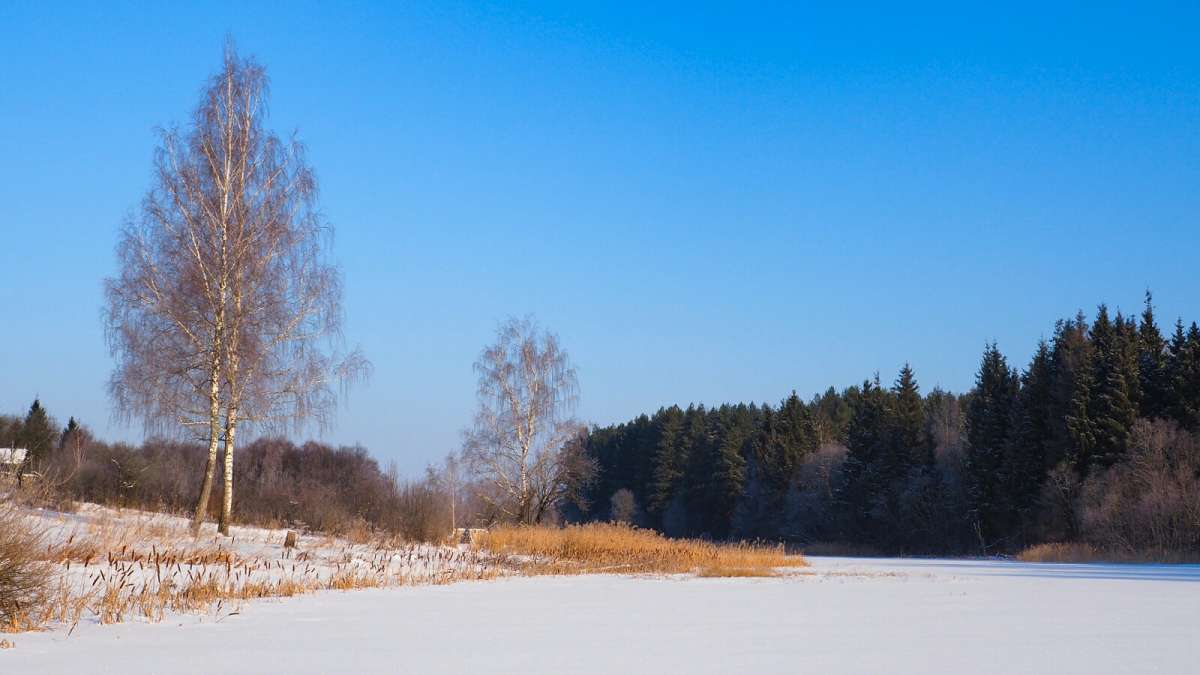 ��� ����������. ����� �������� �������� �� PhotoGeek.ru #������ ��� �������