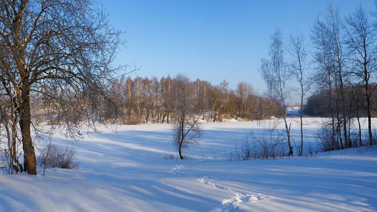 ������ ������. ����� �������� �������� �� PhotoGeek.ru #������ ��� �������