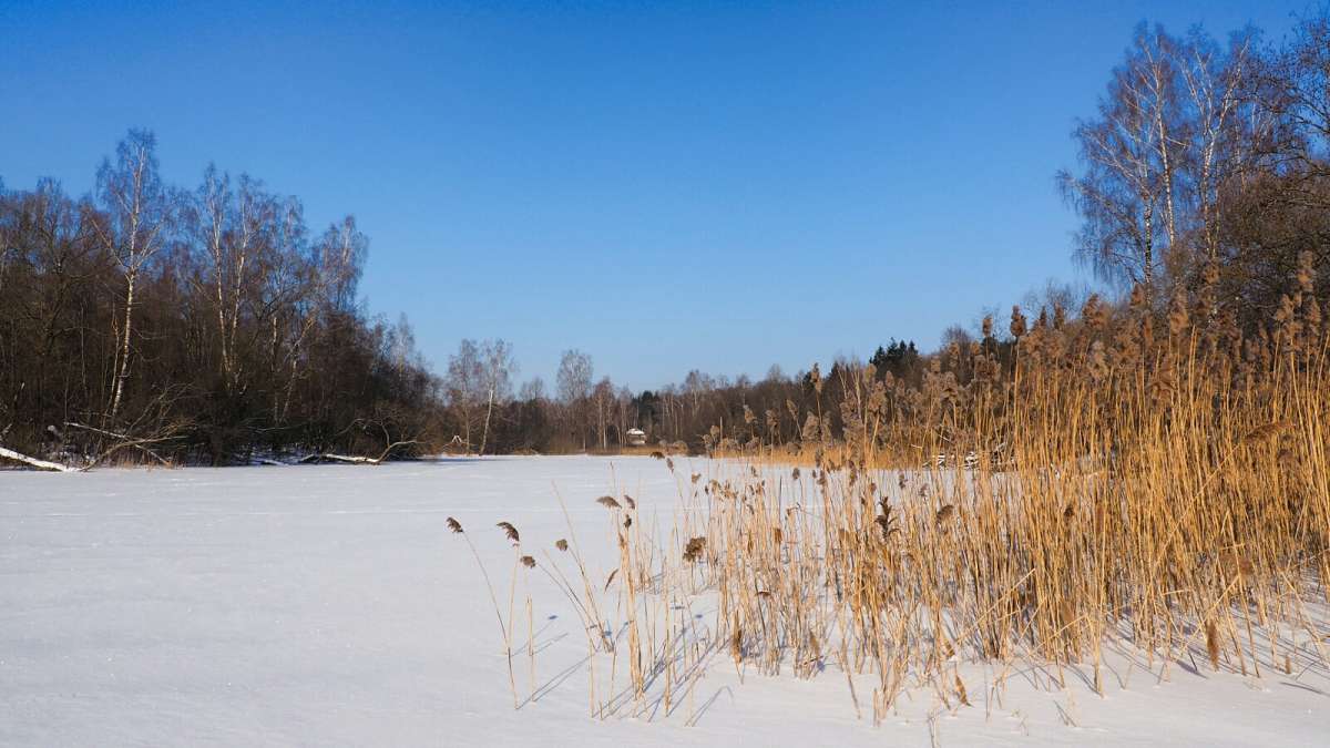 ������� � ����� ����. ����� �������� �������� �� PhotoGeek.ru #������ ��� �������