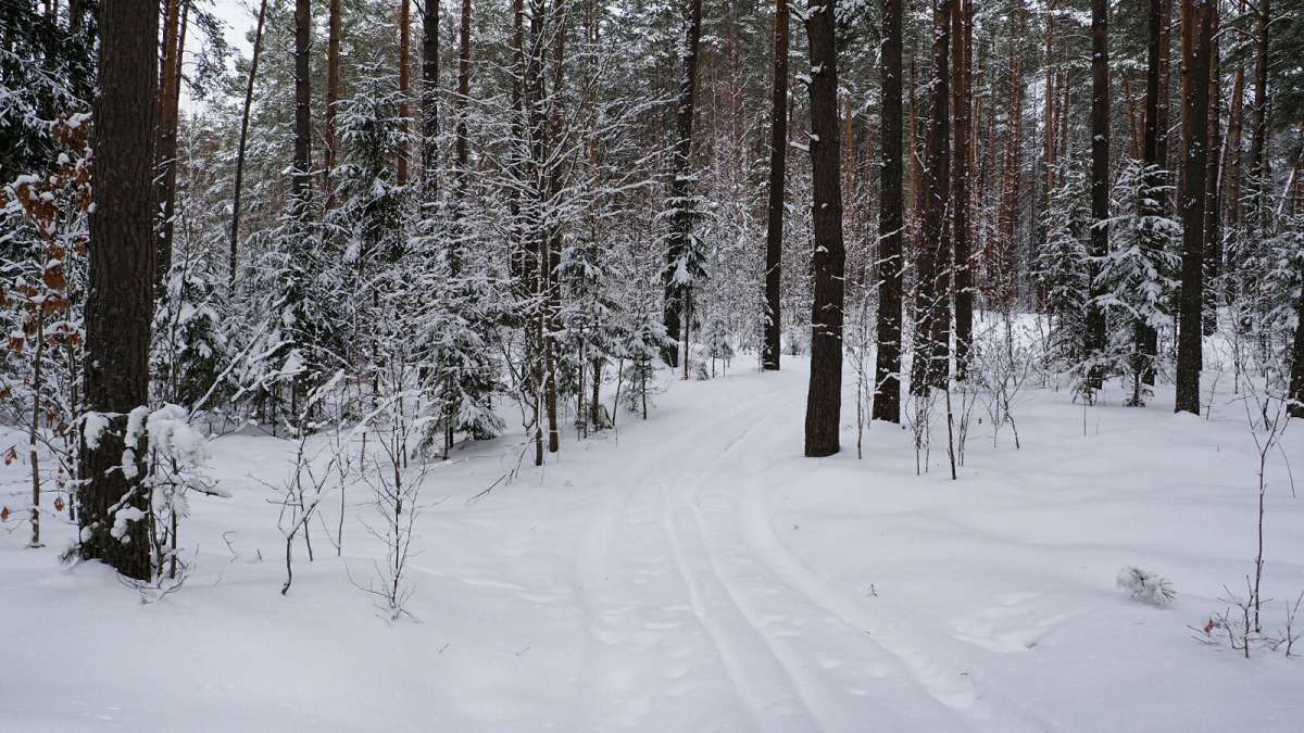 �������� � �������� ����. ����� �������� �������� �� PhotoGeek.ru #������ ��� �������