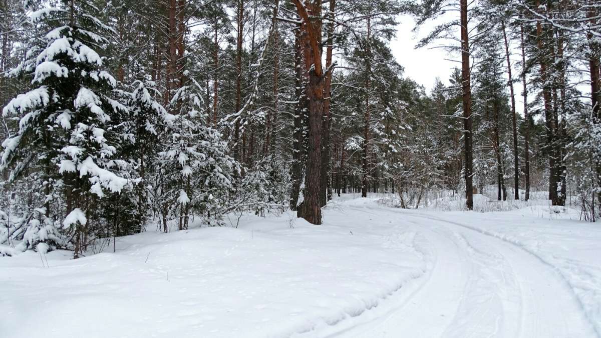 ������ �����, �� ���� �� ������! ����� �������� �������� �� PhotoGeek.ru #������ ��� �������