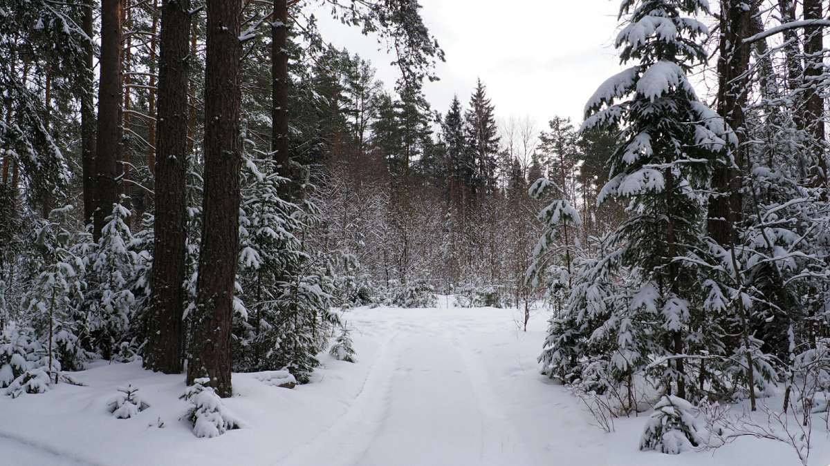 ������ ��-�������. ����� �������� �������� �� PhotoGeek.ru #������ ��� �������