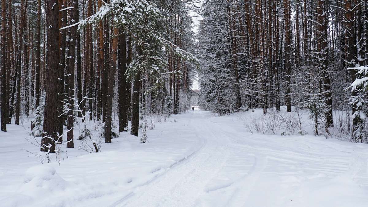 ���������� �����. ����� �������� �������� �� PhotoGeek.ru #������ ��� �������