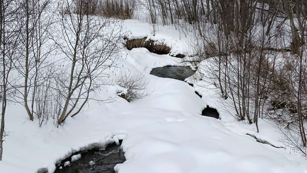 ��� ������ ����� �����. ����� �������� �������� �� PhotoGeek.ru #������ ��� �������