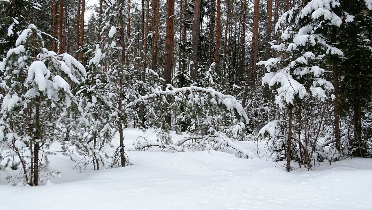 �������� ��������� ����. ����� �������� �������� �� PhotoGeek.ru #������ ��� �������