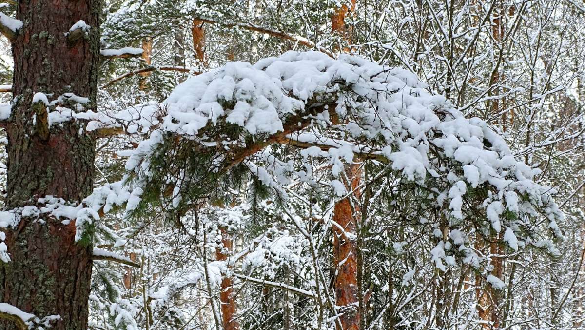 �������� ������� �����. ����� �������� �������� �� PhotoGeek.ru #������ ��� �������