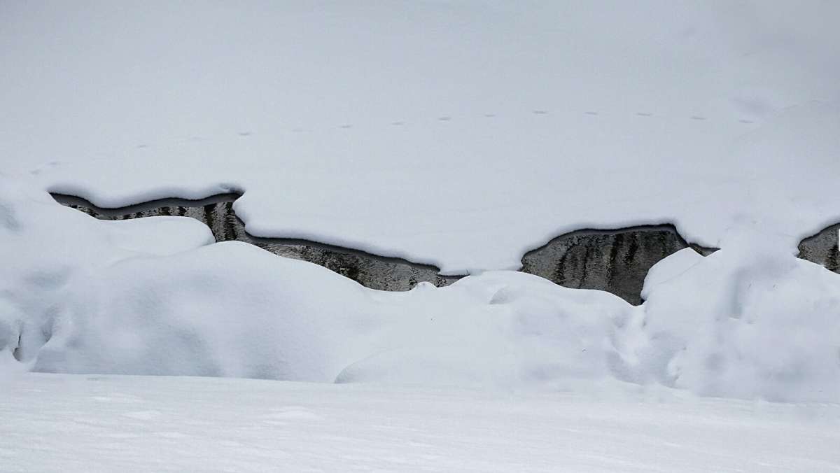 ��� ������ ����� ���������! ����� �������� �������� �� PhotoGeek.ru #������ ��� �������