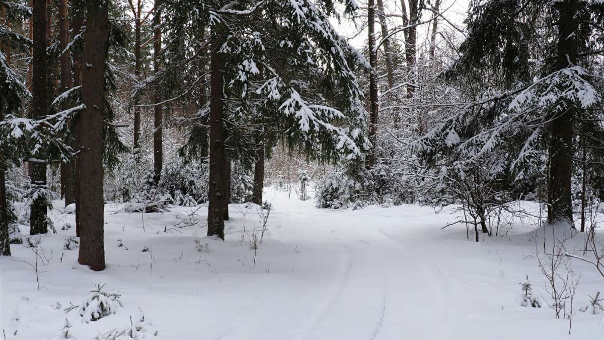 ���� �����. ����� �������� �������� �� PhotoGeek.ru #������ ��� �������