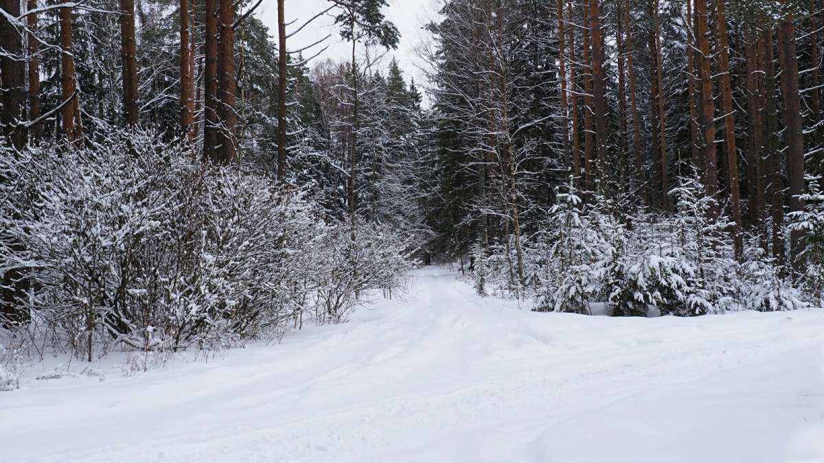 ������ ��������� �����! ����� �������� �������� �� PhotoGeek.ru #������ ��� �������