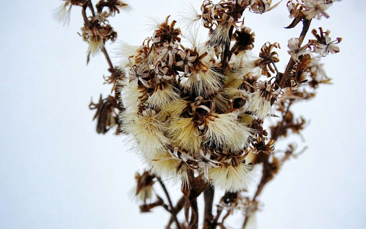 ������� �� �������� �������. ����� �������� �������� �� PhotoGeek.ru #������ ��� �������