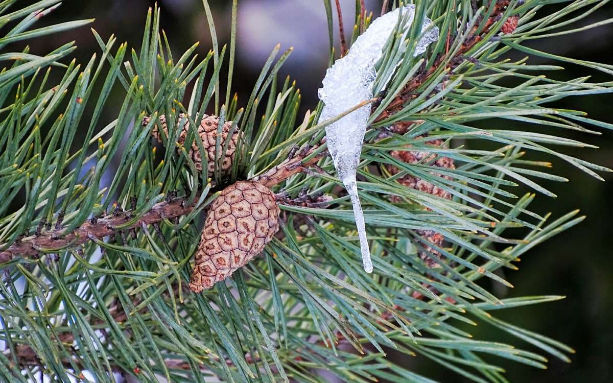 � �����. ����� �������� �������� �� PhotoGeek.ru #������ ��� �������