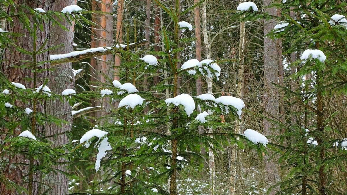 ������� ������ �������� ���. ����� �������� �������� �� PhotoGeek.ru #������ ��� �������