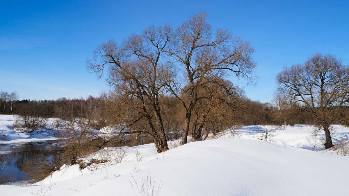 ����� �� ����������. ����� �������� �������� �� PhotoGeek.ru #������ ��� �������