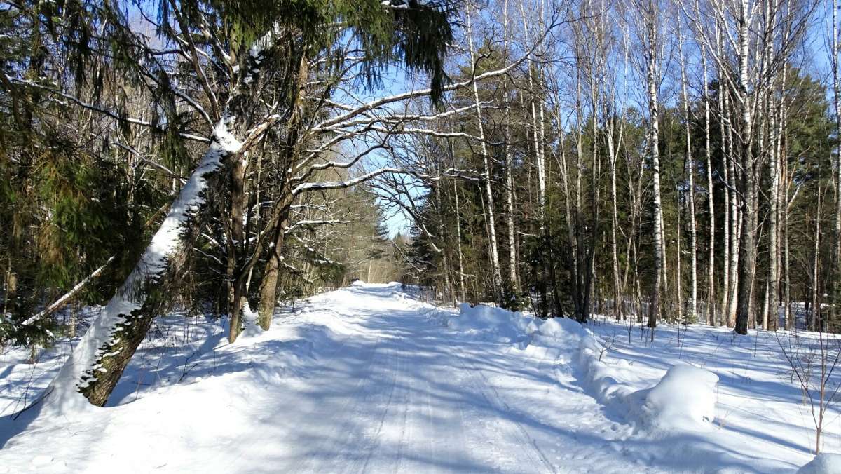 ��� ����� � ��� �����! ����� �������� �������� �� PhotoGeek.ru #������ ��� �������