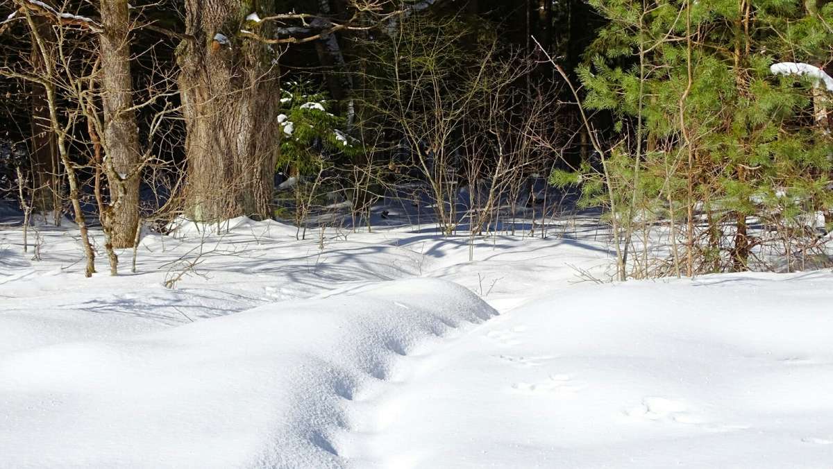 � ��-���� ��� �����! ����� �������� �������� �� PhotoGeek.ru #������ ��� �������