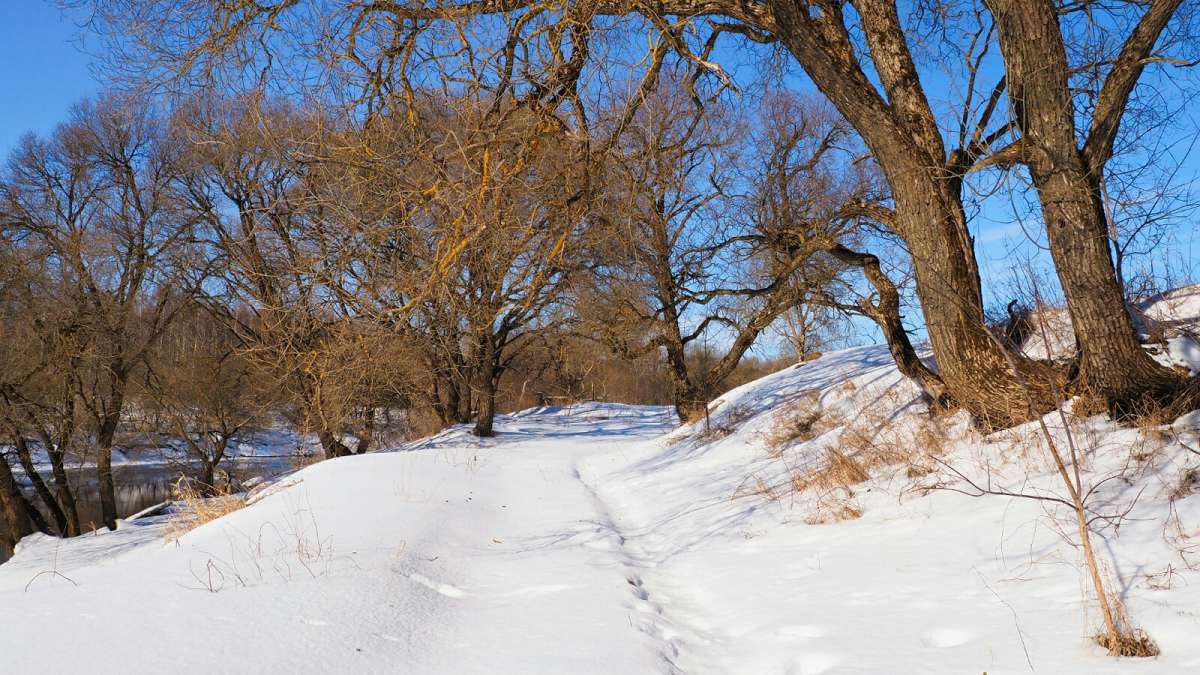 �����, ������� �� ����. ����� �������� �������� �� PhotoGeek.ru #������ ��� �������