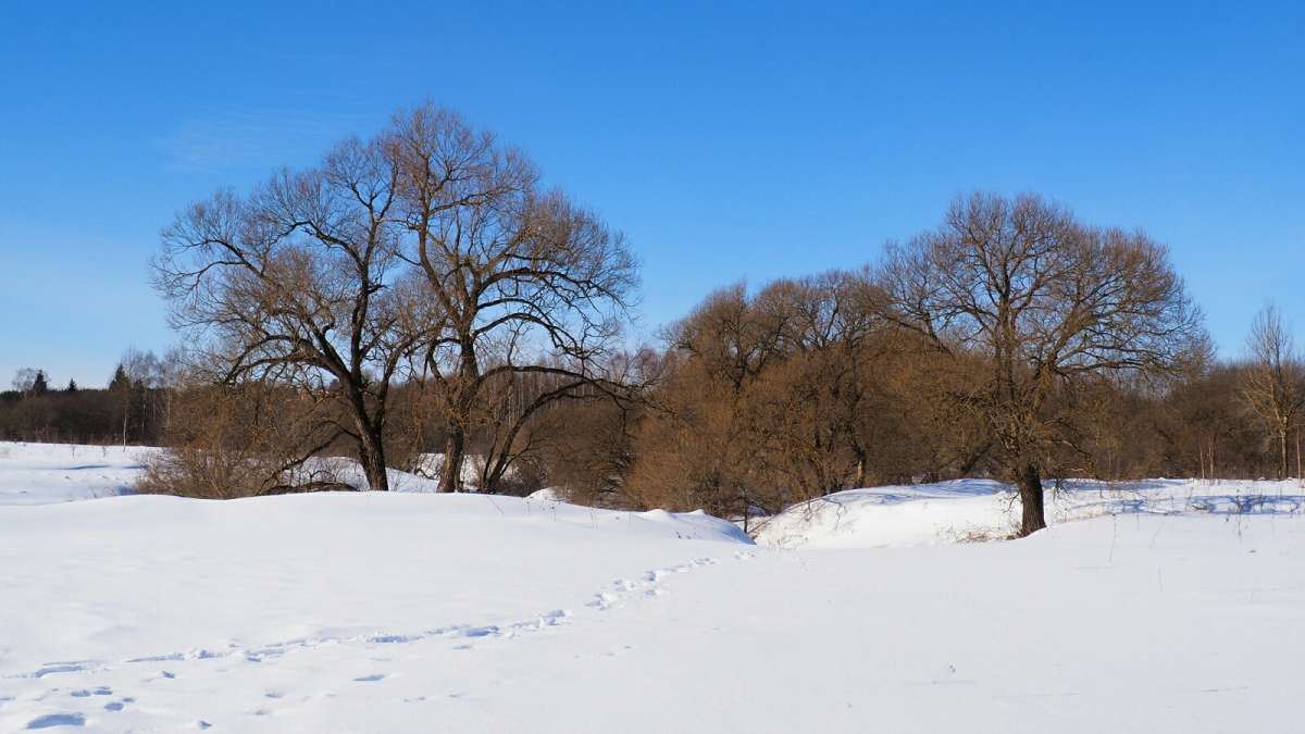 ����� - ����. ����� �������� �������� �� PhotoGeek.ru #������ ��� �������