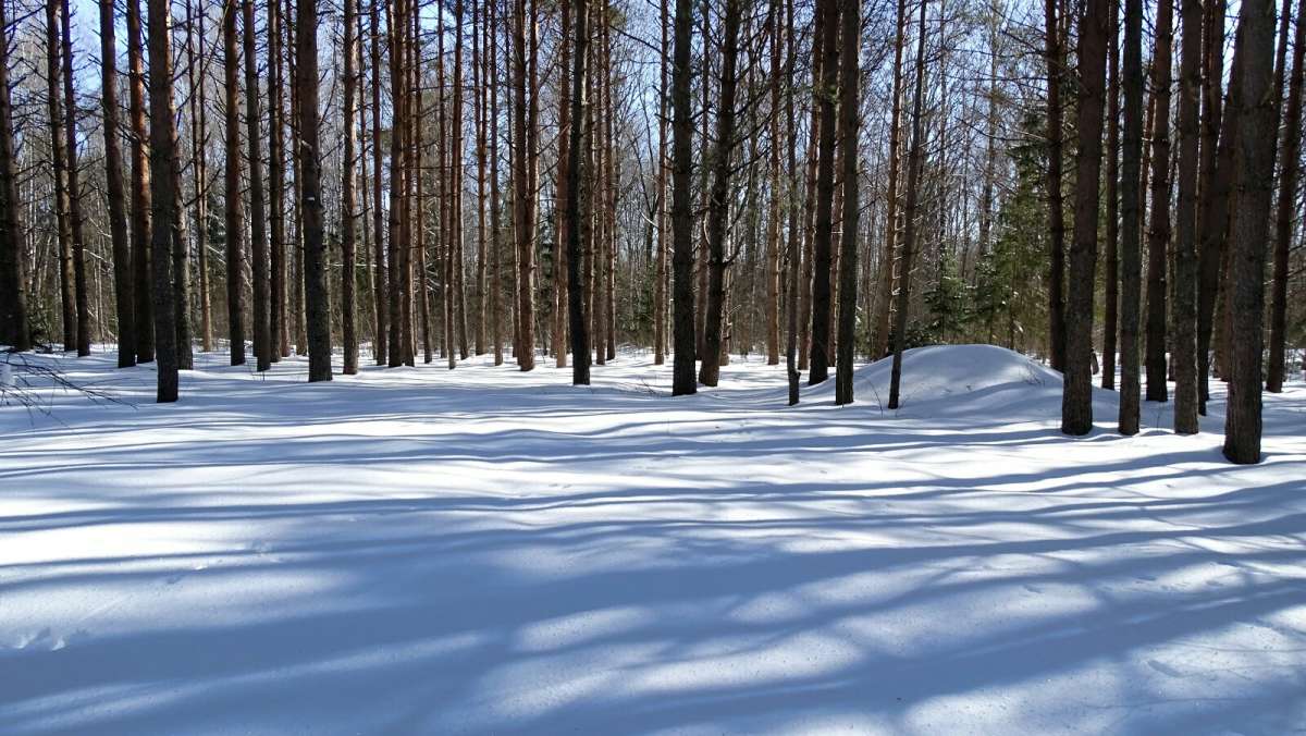 ������� �������� ����. ����� �������� �������� �� PhotoGeek.ru #������ ��� �������