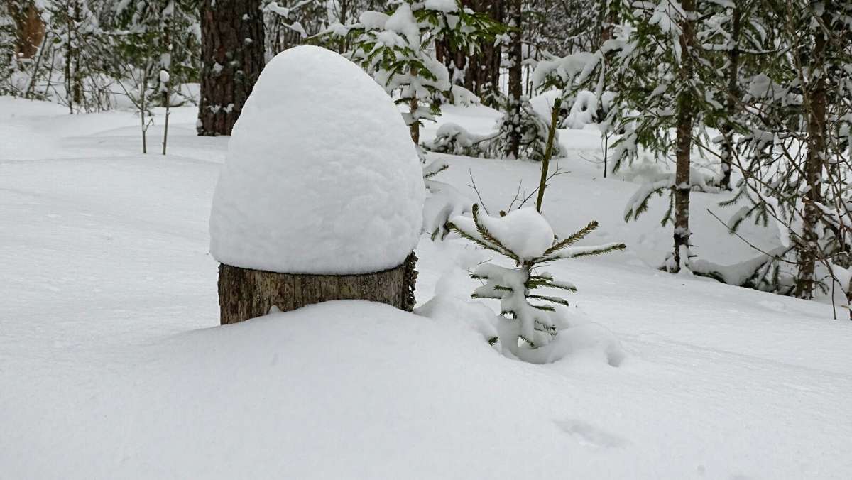 �������� �������� �����. ����� �������� �������� �� PhotoGeek.ru #������ ��� �������