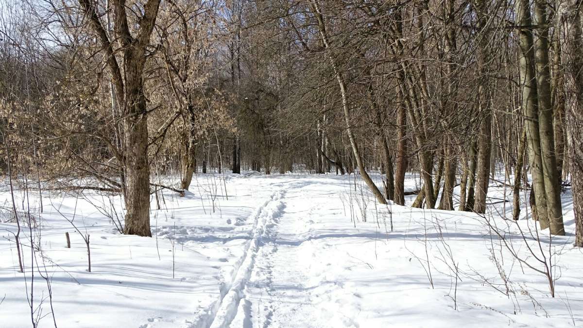 ����� � ��������� �����. ����� �������� �������� �� PhotoGeek.ru #������ ��� �������