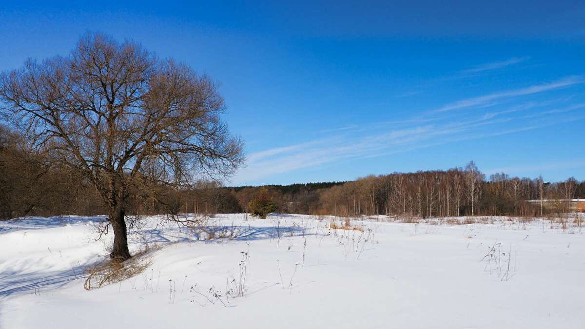 ������� - ������ ������. ����� �������� �������� �� PhotoGeek.ru #������ ��� �������