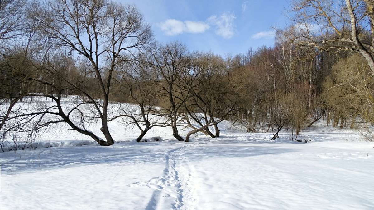 ����, � ������� ����. ����� �������� �������� �� PhotoGeek.ru #����� #������ ��� �������