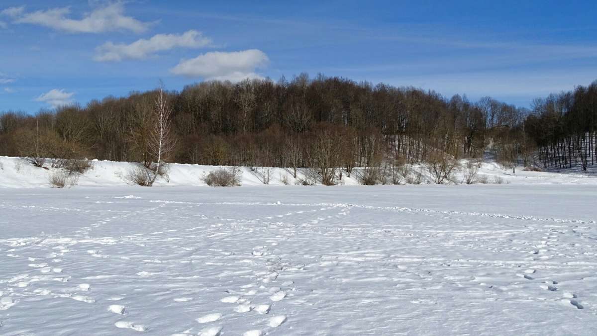 ��� ����������. ����� �������� �������� �� PhotoGeek.ru #������ ��� �������