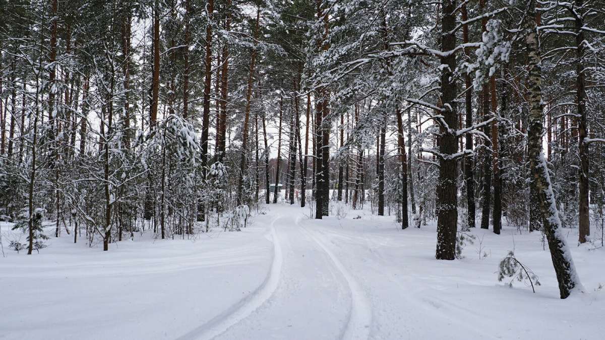 ����� �� ����������. ����� �������� �������� �� PhotoGeek.ru #������ ��� �������