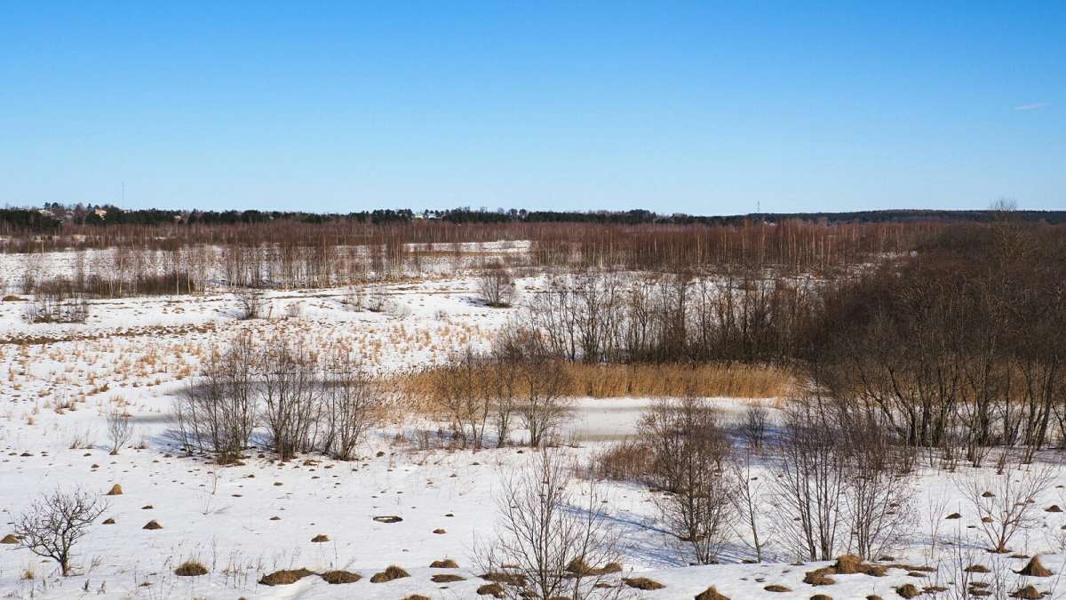 ����������� ������. ����� �������� �������� �� PhotoGeek.ru #������ ��� �������