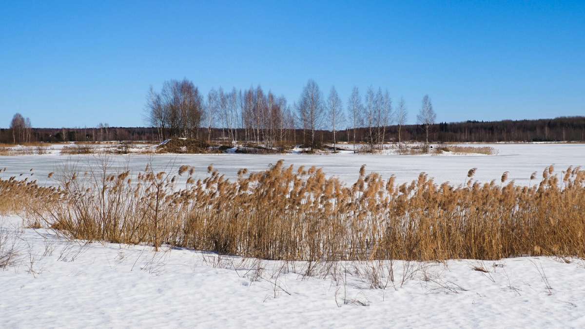 �������� ����������. ����� �������� �������� �� PhotoGeek.ru #������ ��� �������