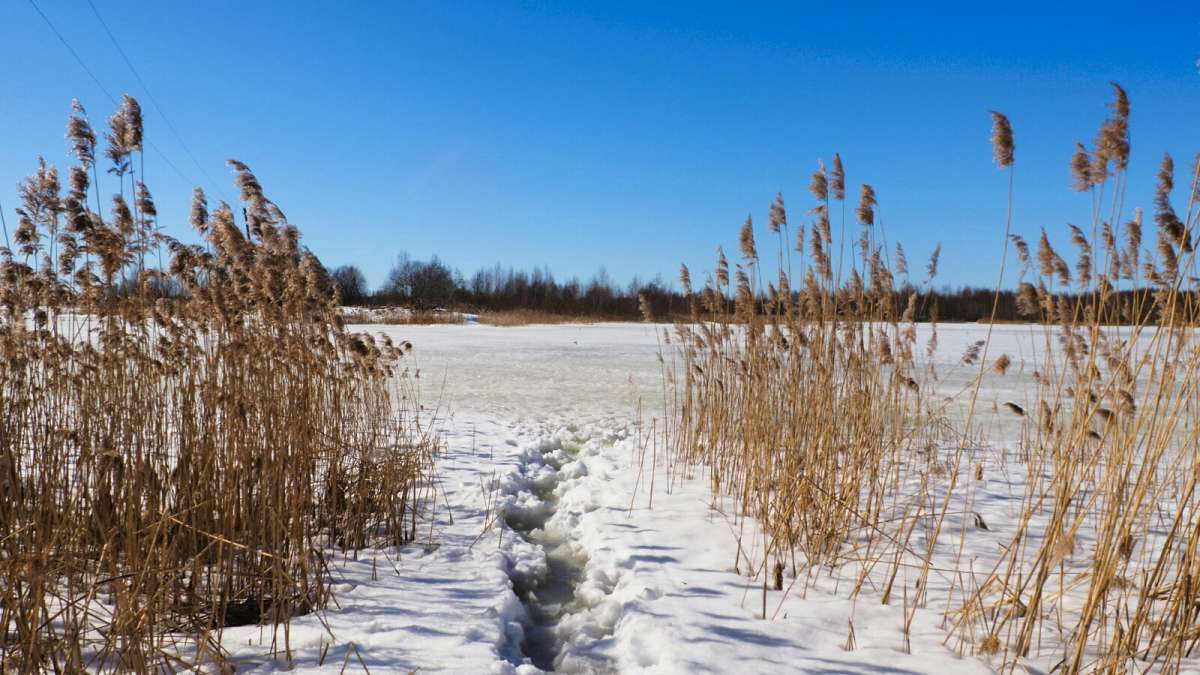 ������� ����� �� ������ ��. ����� �������� �������� �� PhotoGeek.ru #������ ��� �������