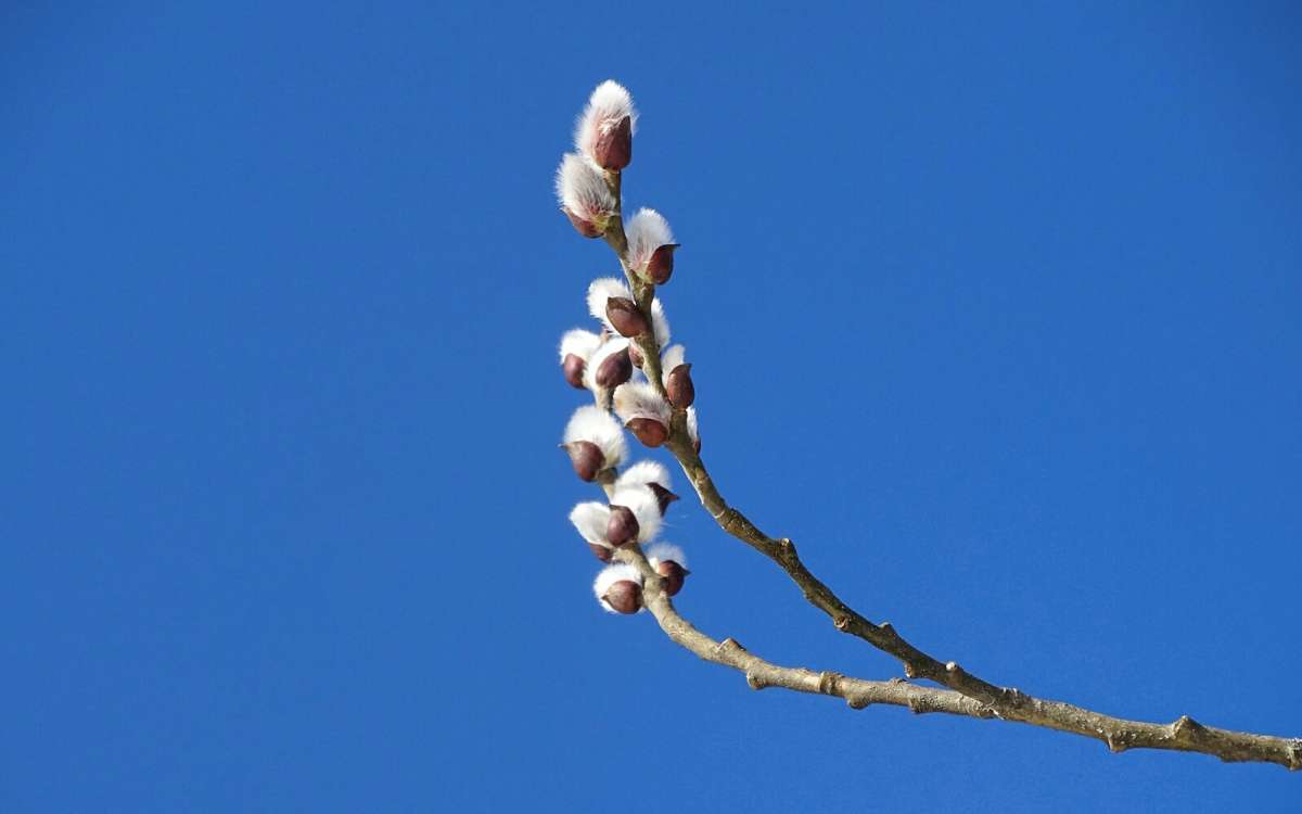 ����������� � �����. ����� �������� �������� �� PhotoGeek.ru #������ ��� �������